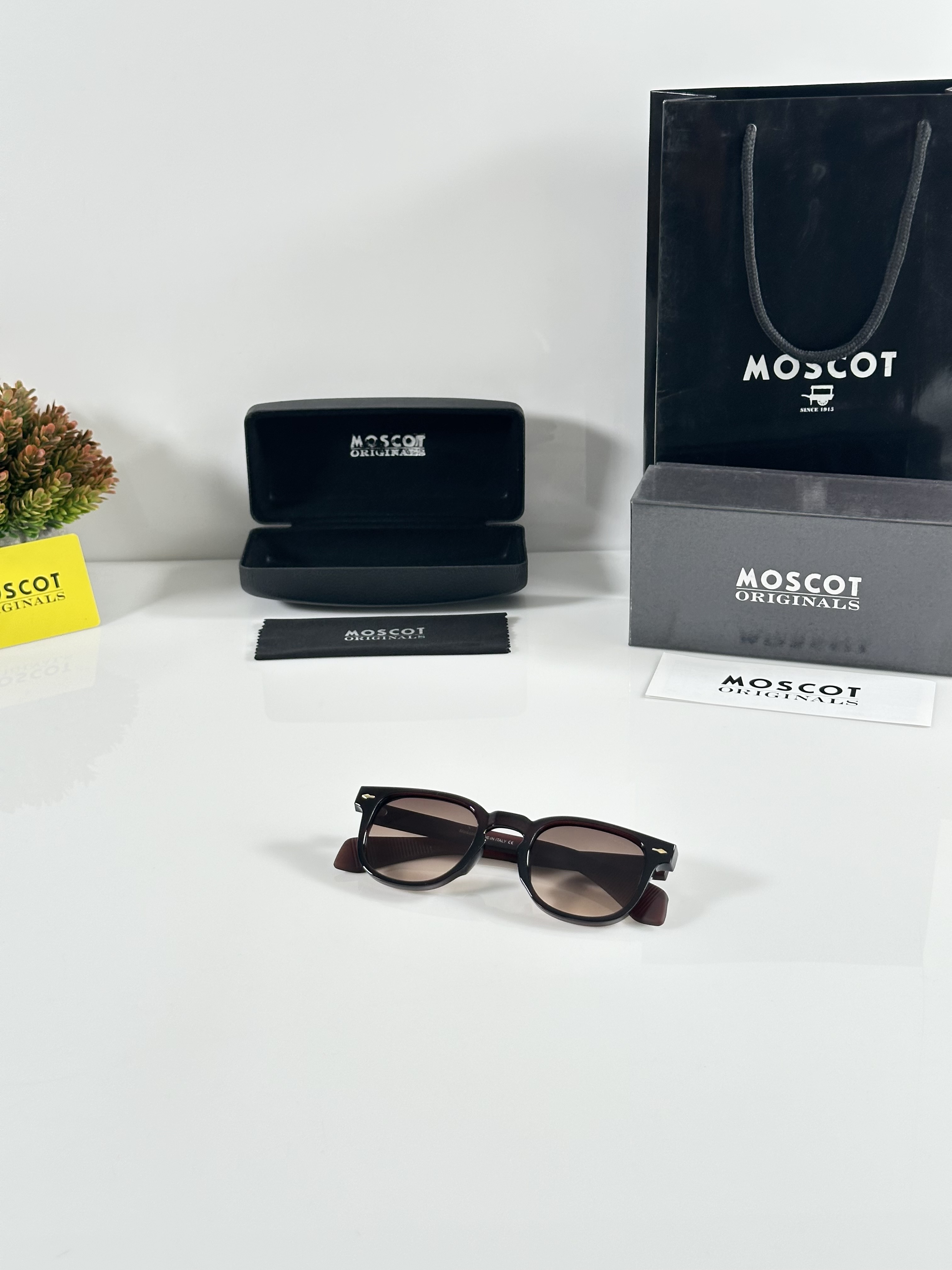 Moscot 120 Brown - Image 4