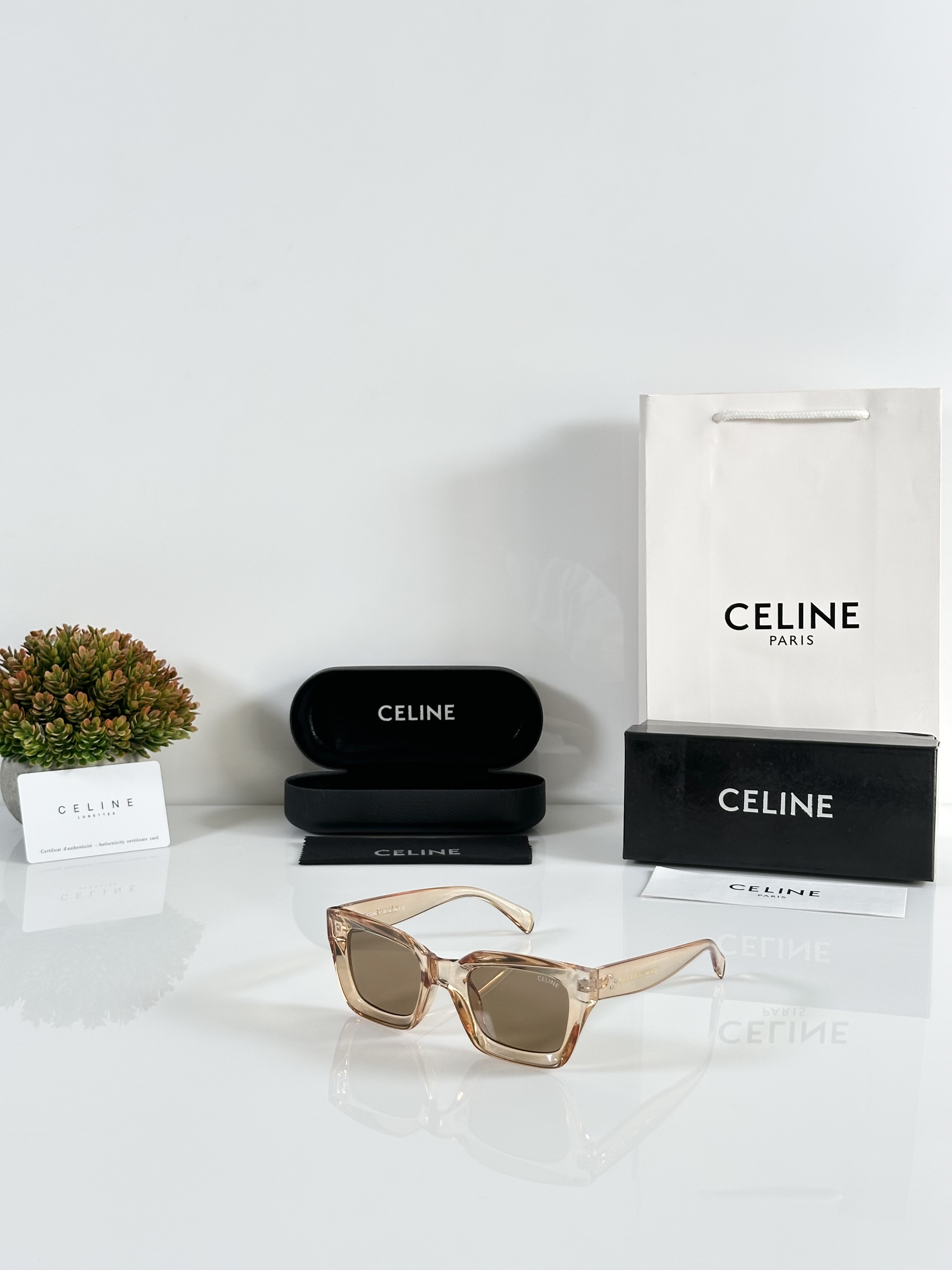 Celine WMNS 1007 Water Brown
