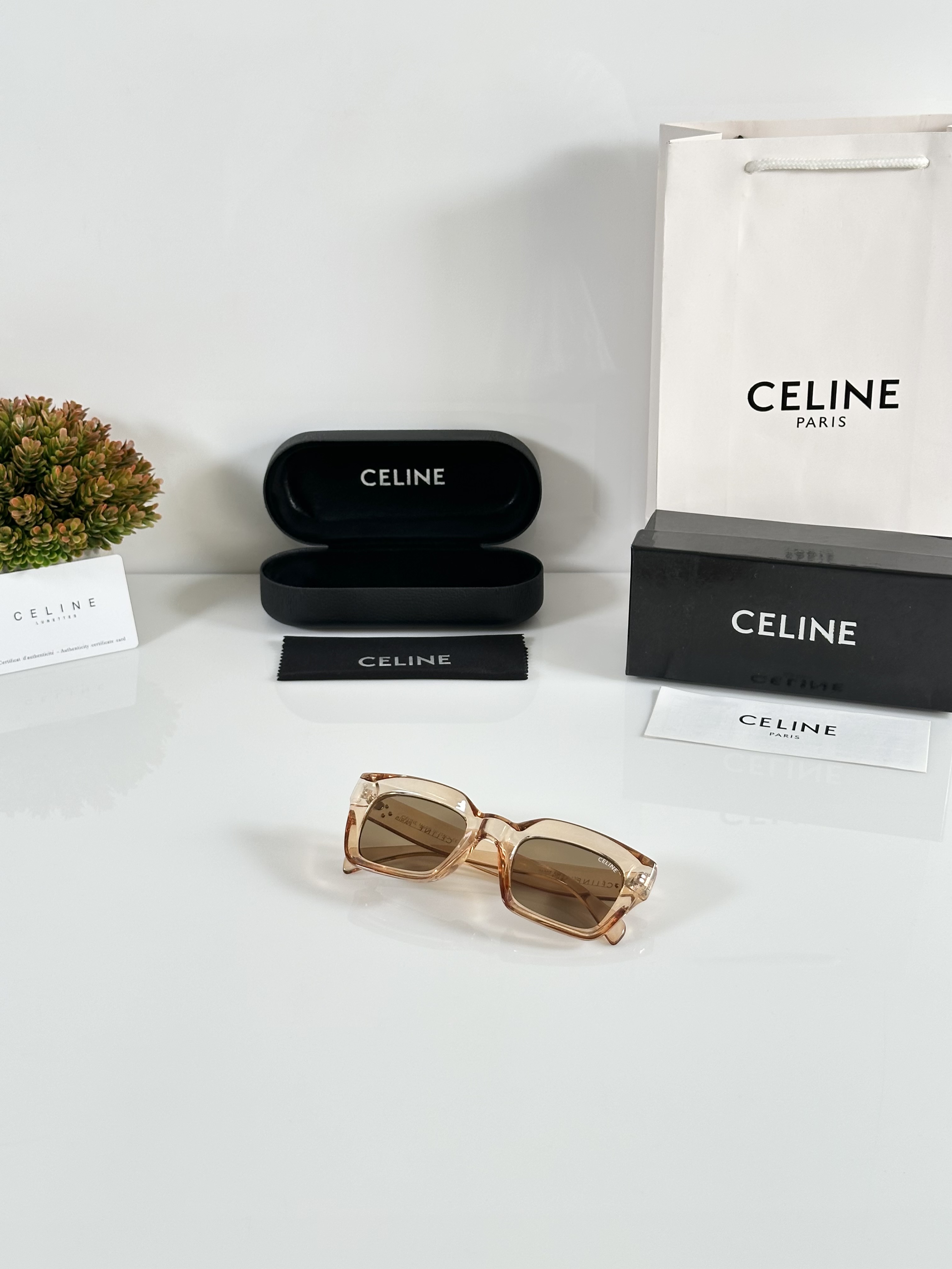 Celine WMNS 1007 Water Brown - Image 4