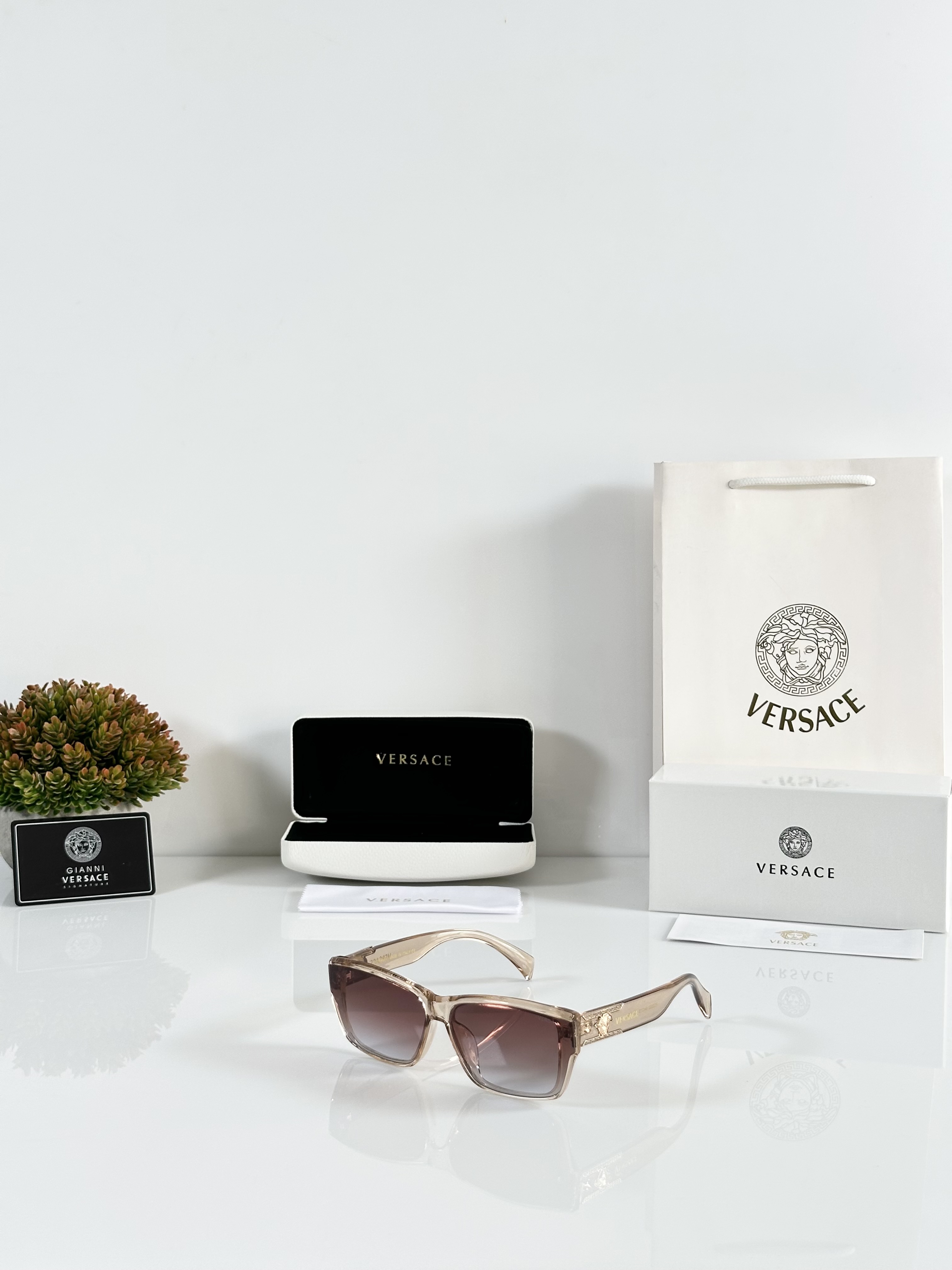 Versace WMNS 5502 Water Brown