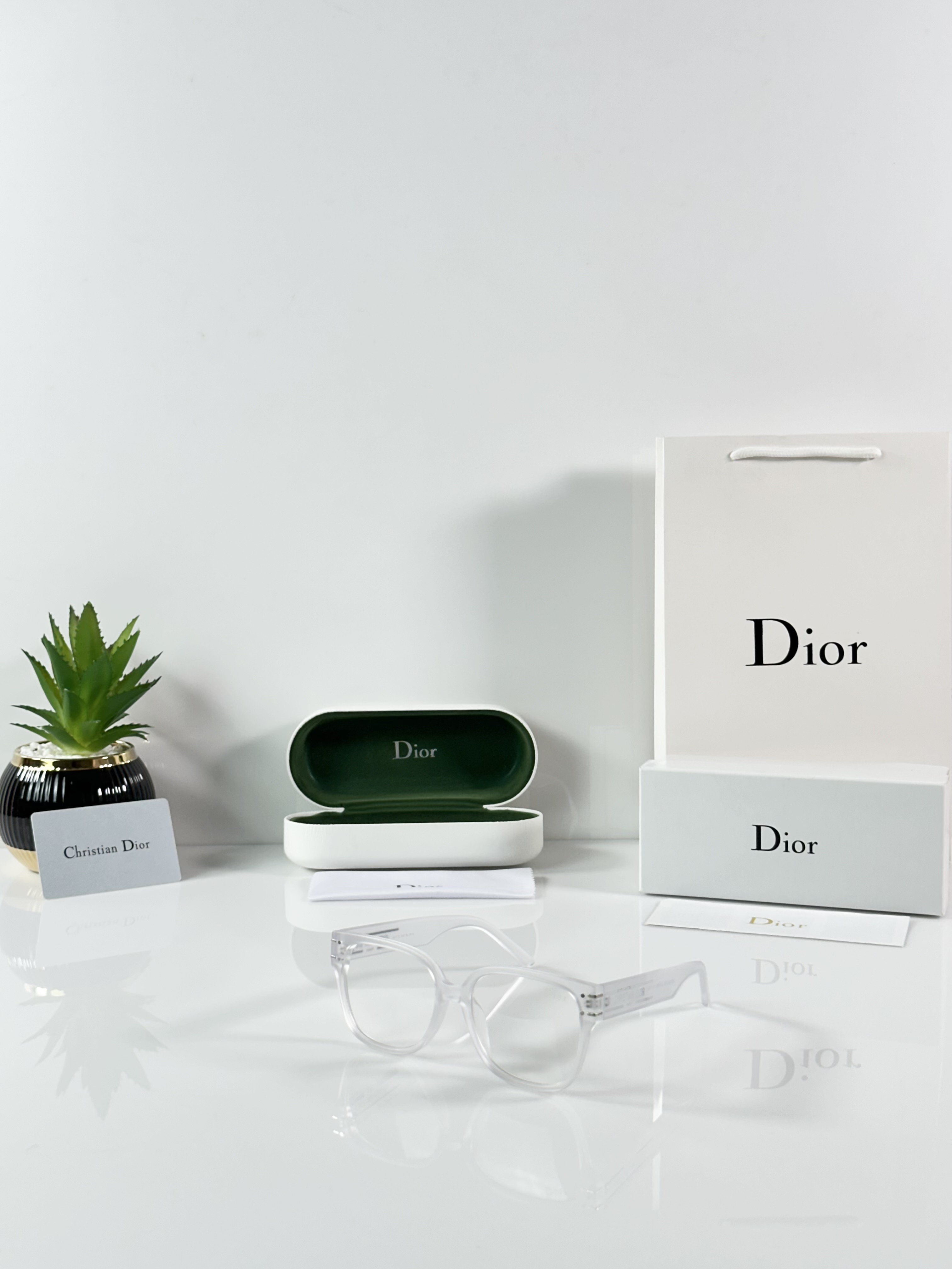 Dior_WMNS_5818_Ice_Day