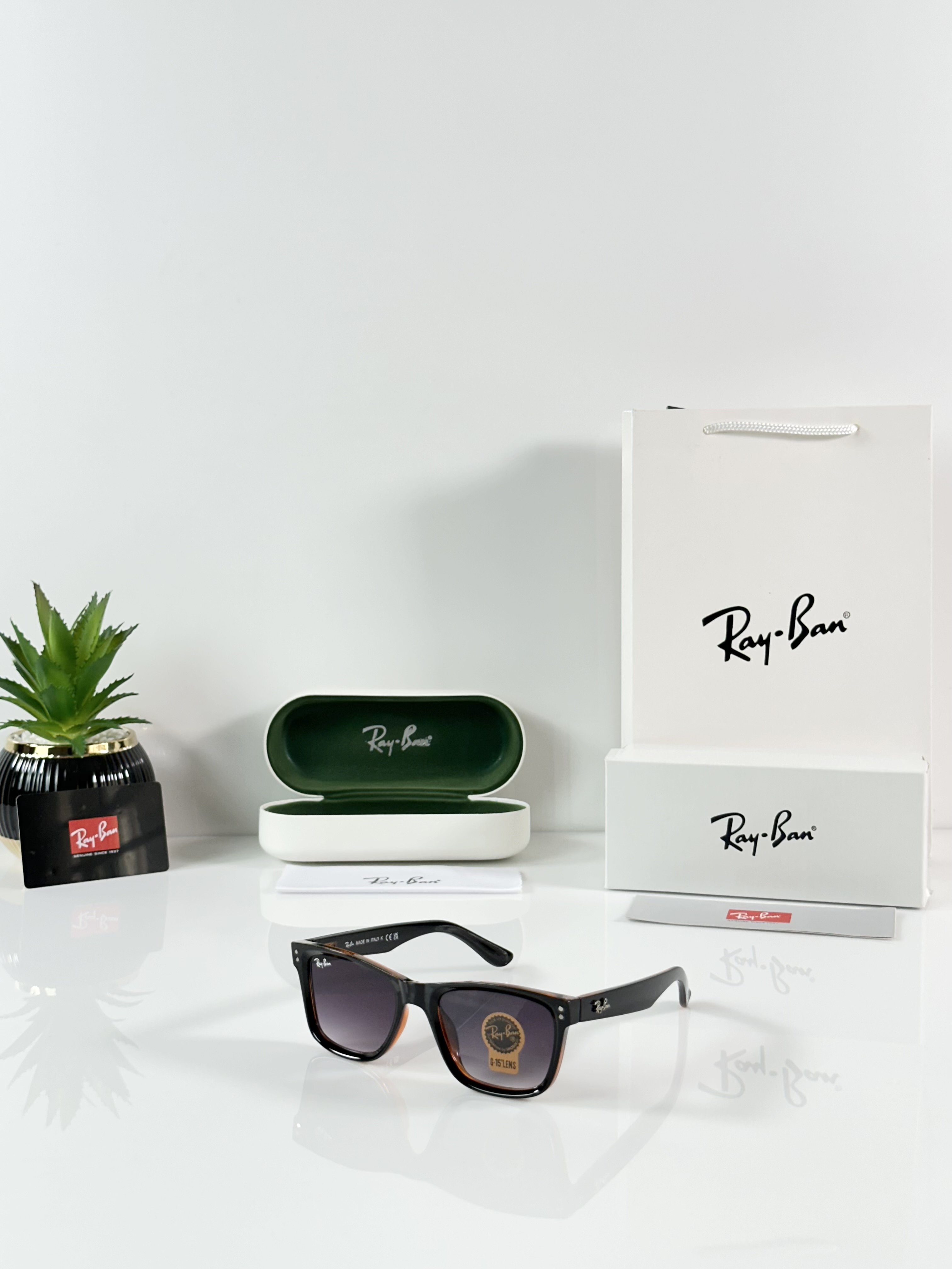 Rayba Reverse 0502 Black Shaded