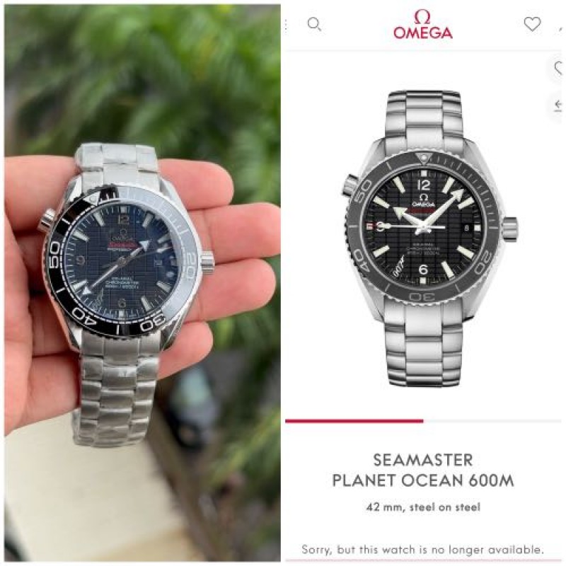 Alternative view of seamaster planet ocean 600m