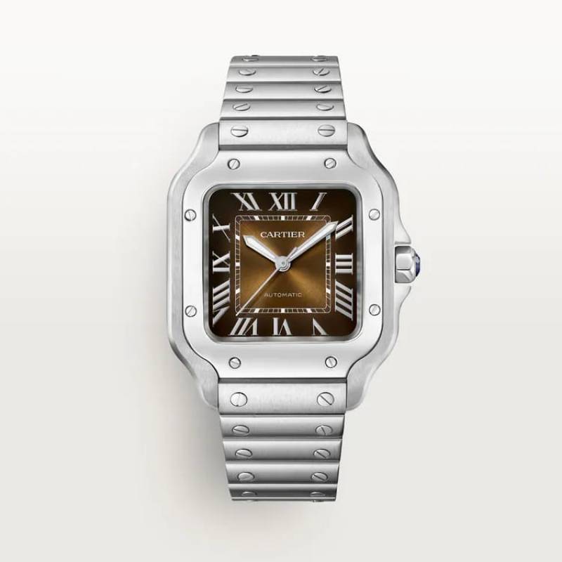 Cartiee r Santos Automatic silver brown