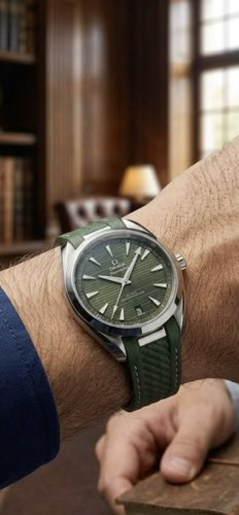 Omegha Seamaster Aquaterra