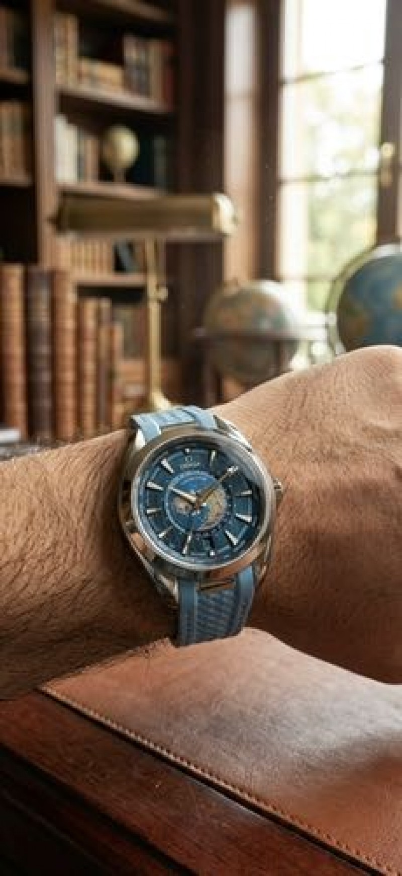Omegha Seamaster Aquaterra
