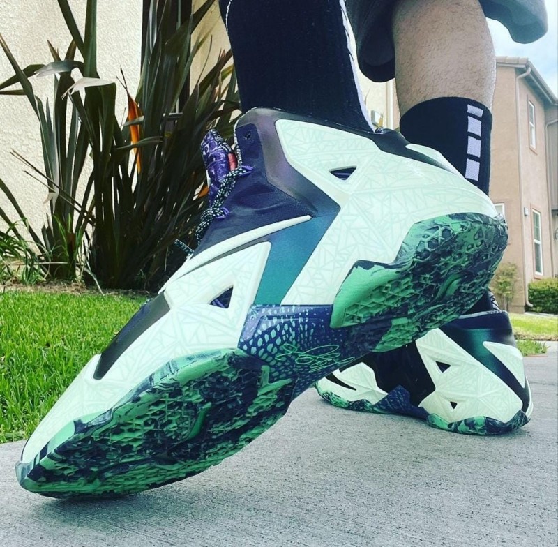 nike lebron gator king