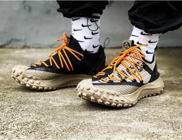 acg mountain fly low fossil stone