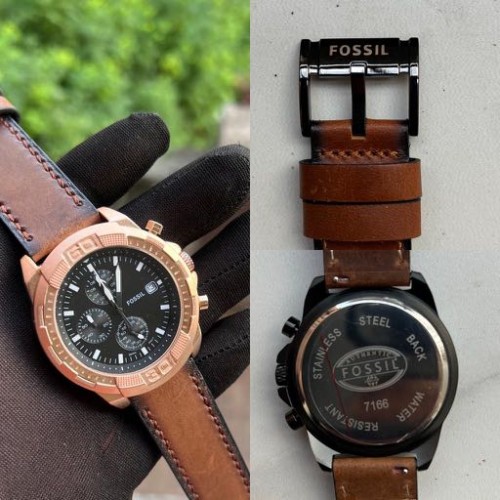 Alternative view of Fossi l Fs5713