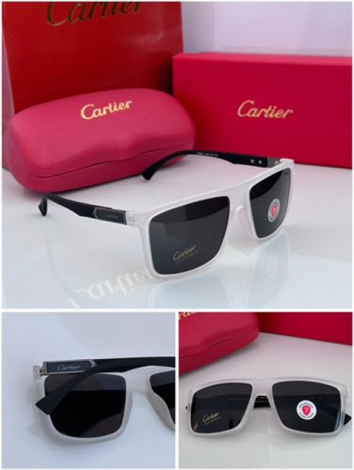 CARTER SUNGLAS