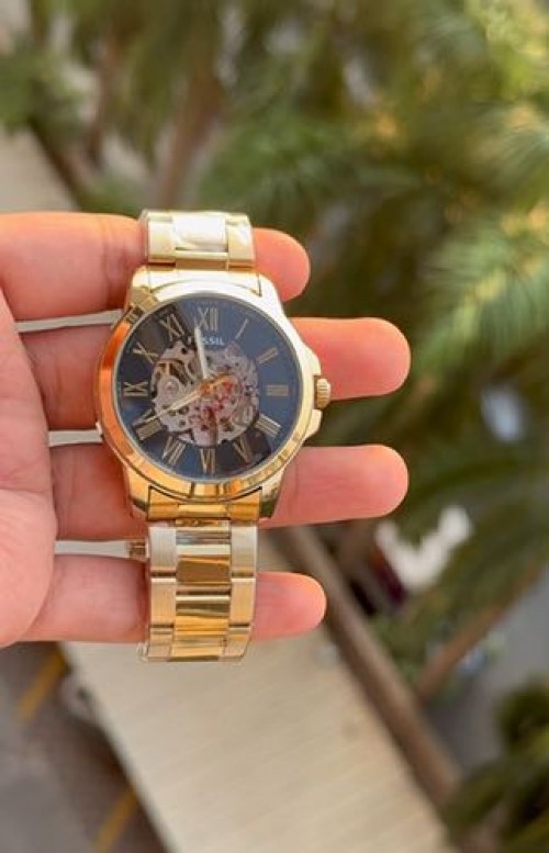 Fossil Skeleton Automatic