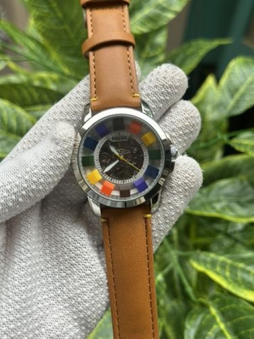 Fossil Multicolour