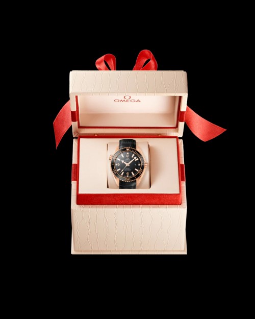 Alternative view of Omegaa Sea Master Planet Ocean 600m