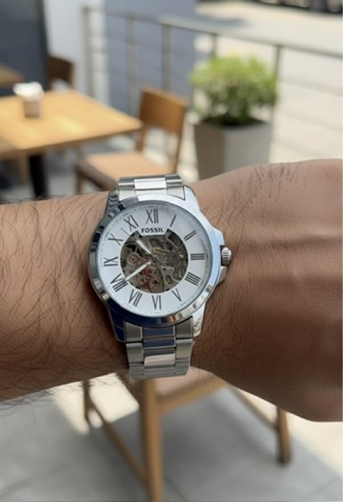 Fossil Skeleton Automatic