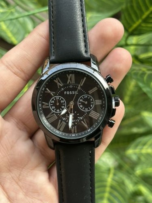 Alternative view of FOSSIL