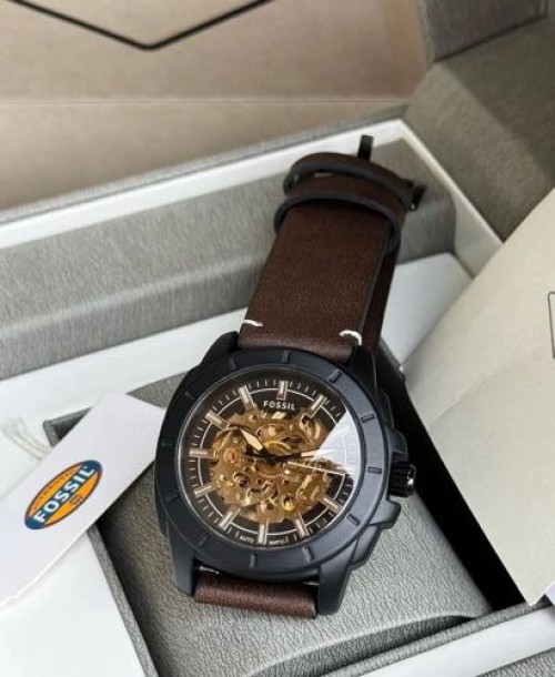 Fossil Skeleton BQ2429 ( 095 )