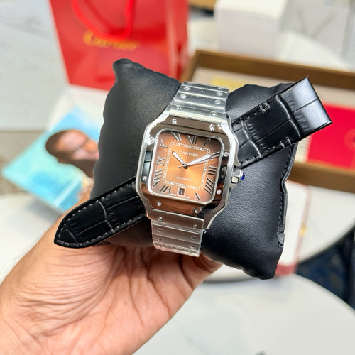 Cartier Santos With Extra Strap