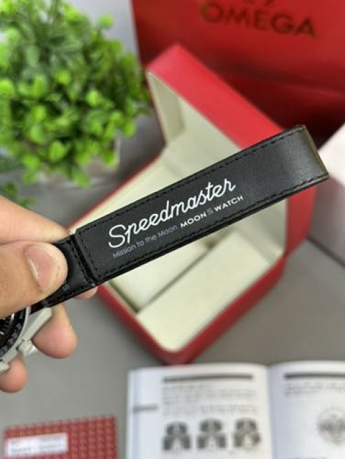 Alternative view of OMEGA SWATCH