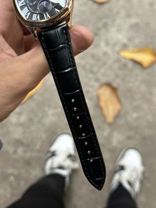 CARTIER SUN MOON WORKING
