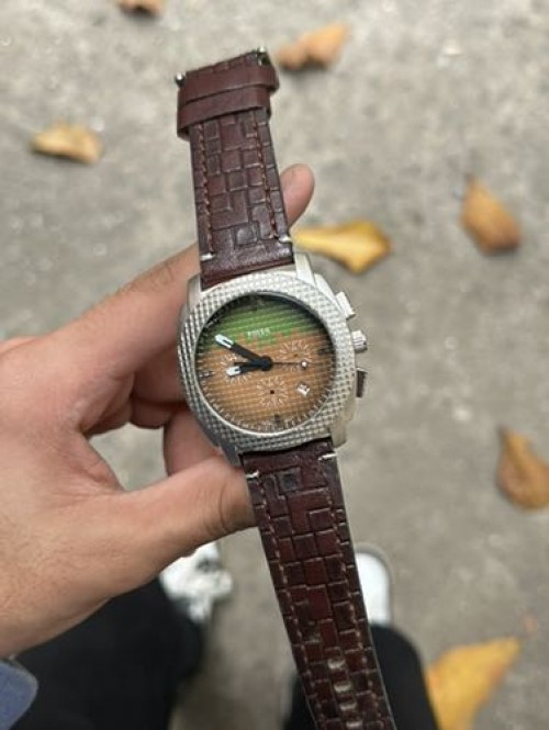 FOSSIL MINCRAFT EDITION