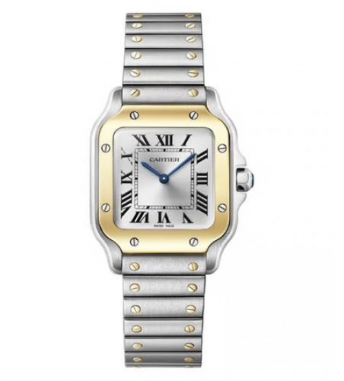 Cartier Santos Silver Gold Small Size