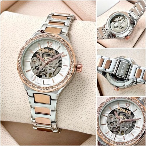 Alternative view of Fossi L Eevie