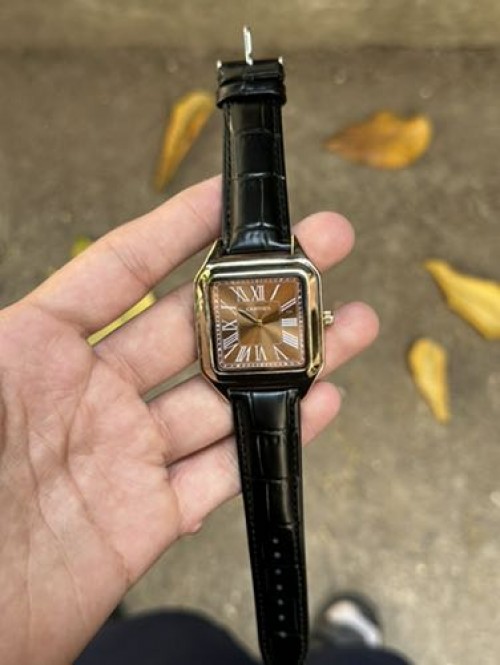 Cartier Santos Dumont