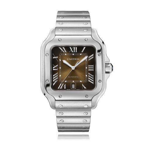 Cartier D Santos Brown Sunray Large