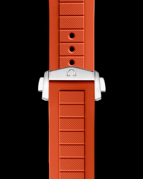 Omegaa SeaMaster Planet Ocean 600m