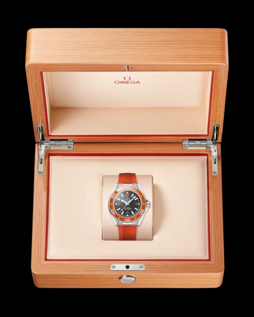 Alternative view of Omegaa SeaMaster Planet Ocean 600m