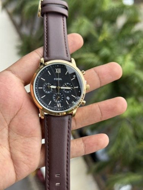 Fossil Neutra