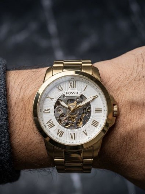 Fossil Skeleton Automatic