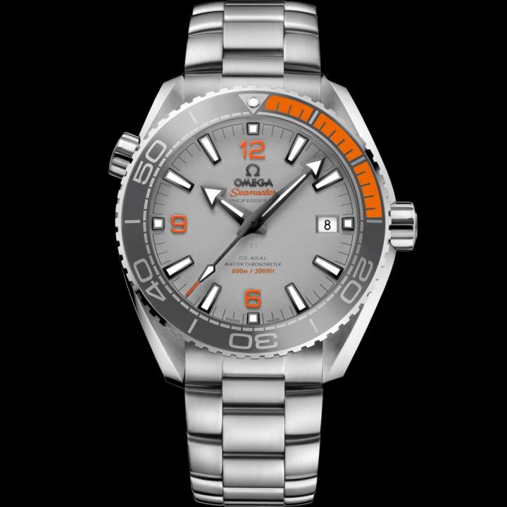 Omegg_a Seamaster Planet Ocean 600M silver gray