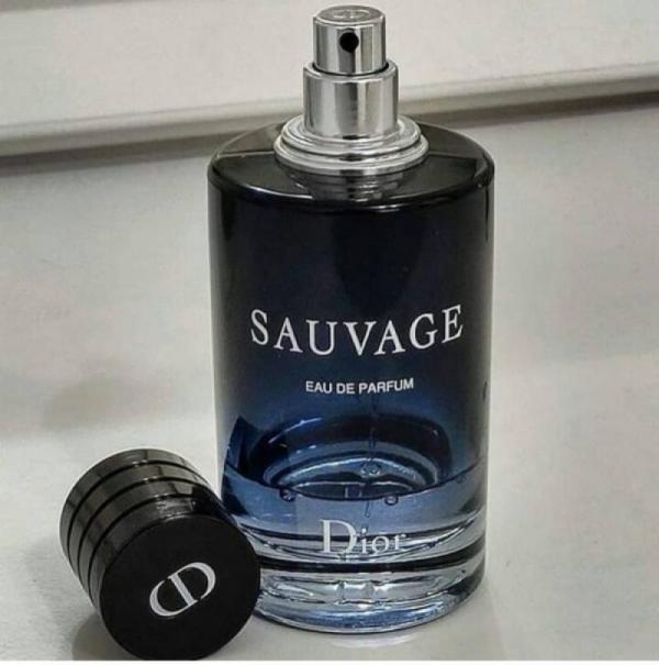 Dio Sauvage eau de parfum 100ML