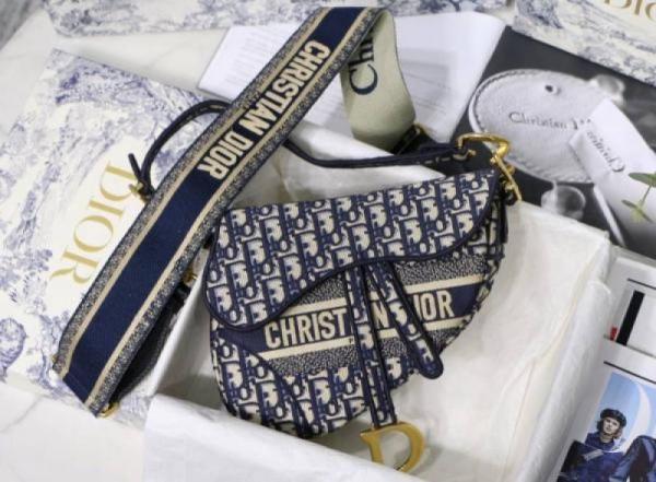 Christian DIYOR womens bags crossbody bag saddle bag with box 621