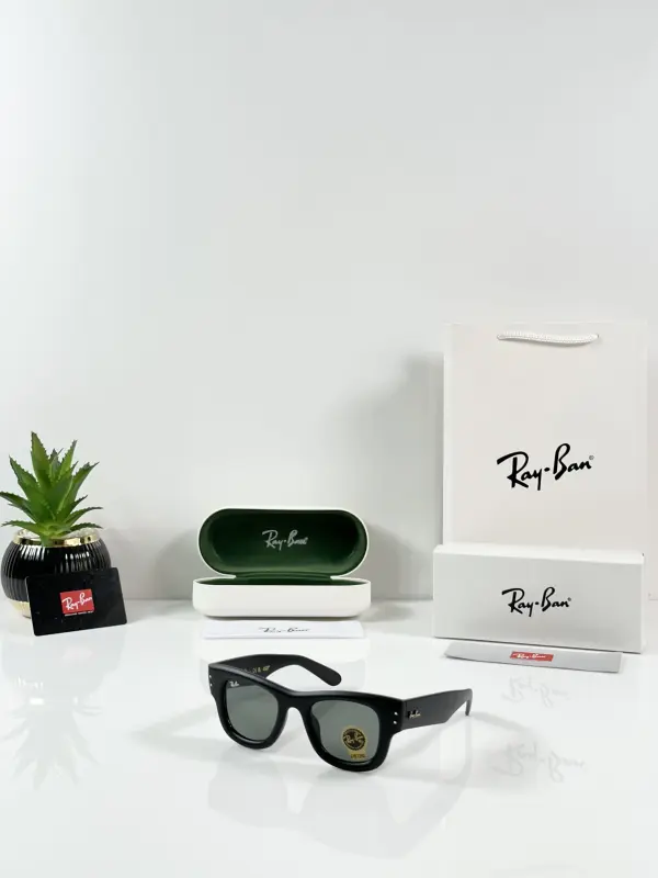 Rey ban Puffer 4940 Matte Black GLASS