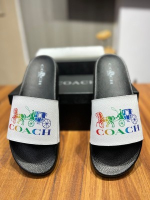 Coa_ch  bape premium slide