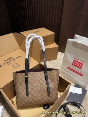  mollie tote 25  signature canvas edition