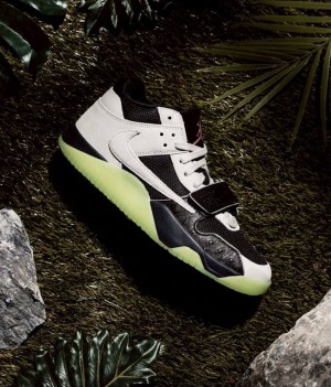 AIR JORDAN X TRAVIS SCOTT JUMPMAN JACK T-REXX CHASE B