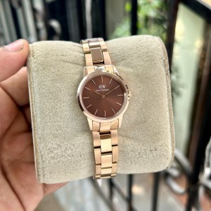 Daniel Wellington DW00100208 STEEL BELT LADIES WATCH