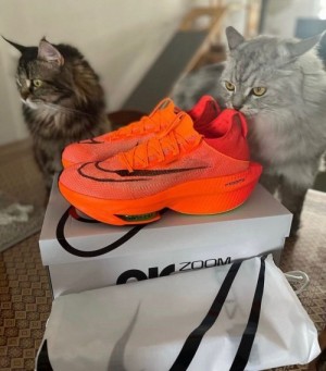Nike Air Zoom Alphafly Next 2
