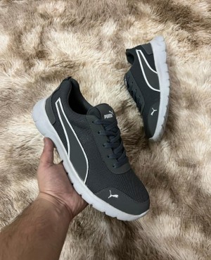 p grey