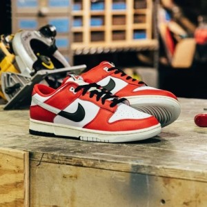 Nike SB Dunk Low Split Chicago