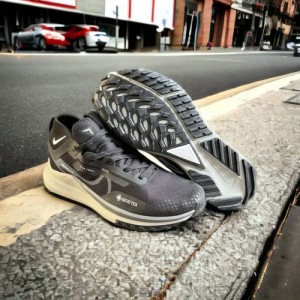 Nike Pegasus Trail 4 Goretex
