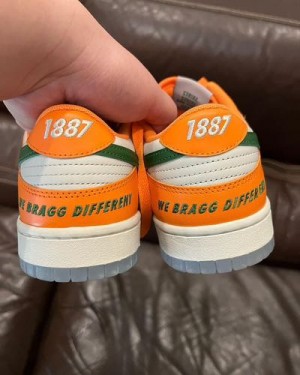 Famu x nike Dunk Low Florida A M