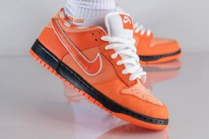 nike sb dunk low orange lobster