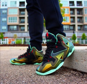  LEBRON 11 KINGS PRIDE