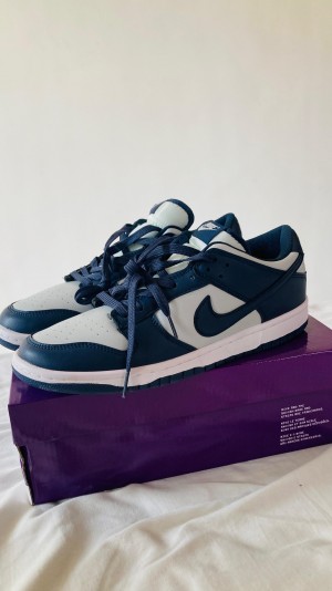 Sale Nik e Dunk Low Georgetown