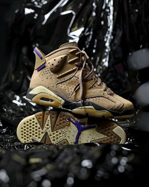 Jordan Retro 6 Gore Tex Brown Kelp