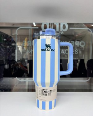 Oasis Cabana Gloss Stripe Quencher H2.0 Flowstate Stanley Tumbler  40 OZ  Cornflower